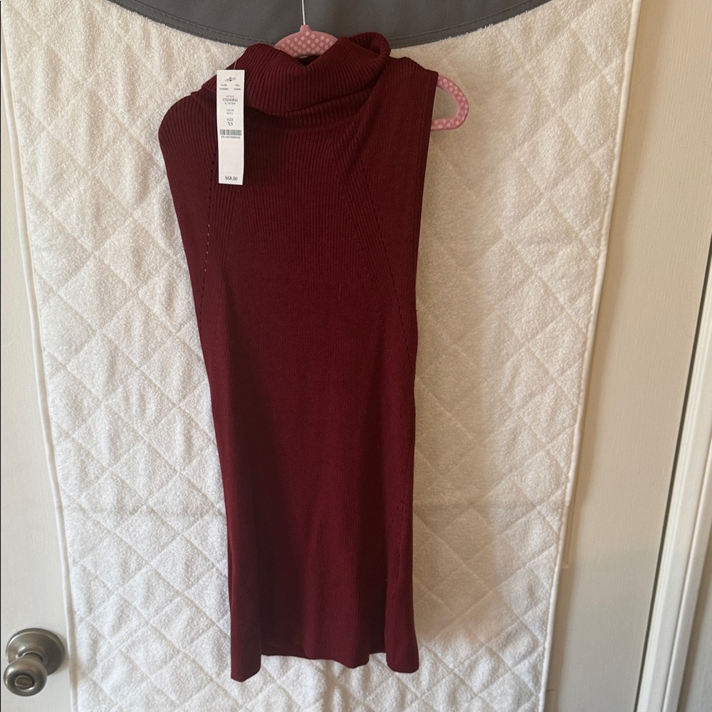 Burgundy Sleeveless Turtleneck Dress